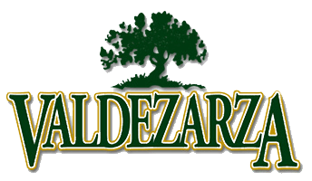 Logotipo de Valdezarza